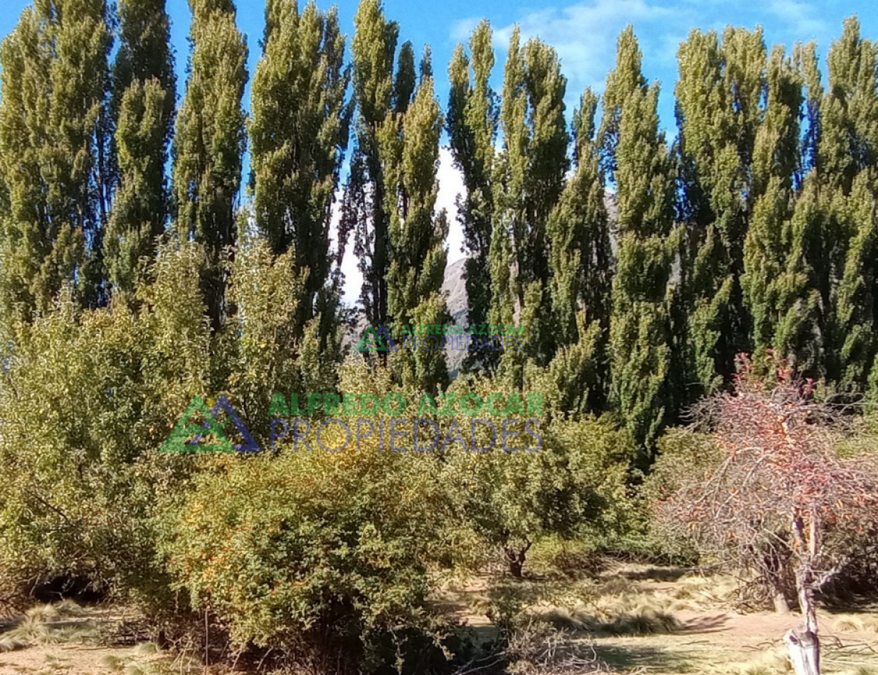 Chacra 2 Hec