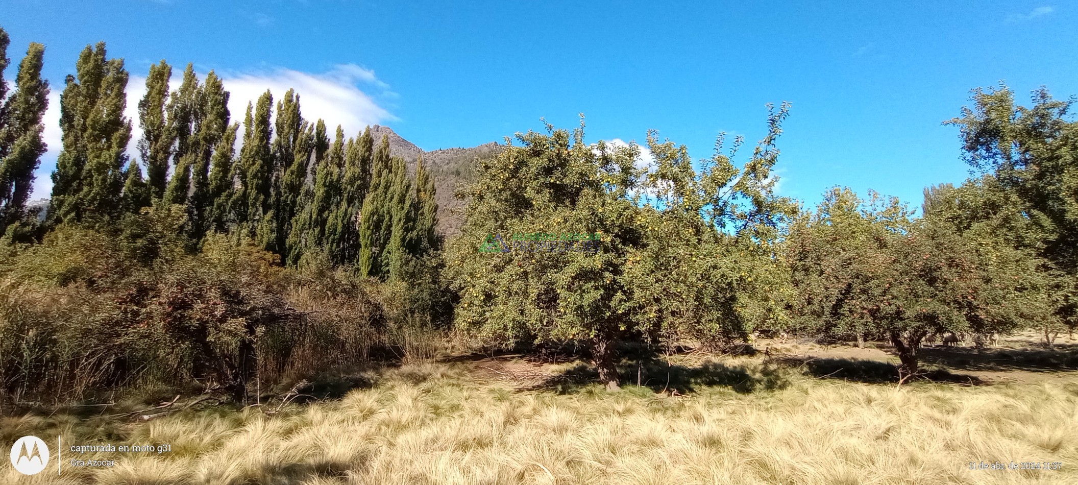 Chacra 2 Hec